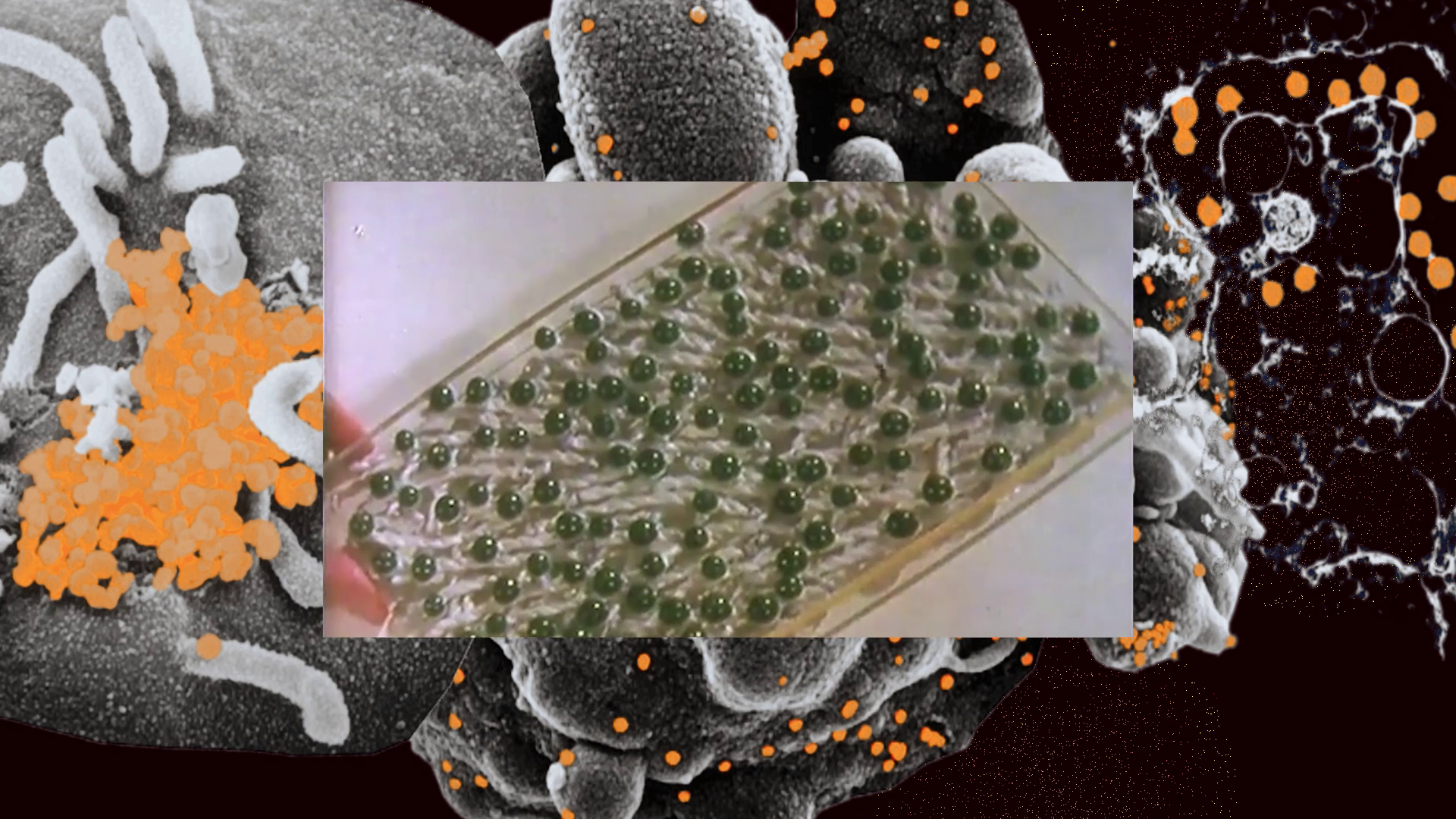 Membranes: Biology and cellular structures as metaphors for connections