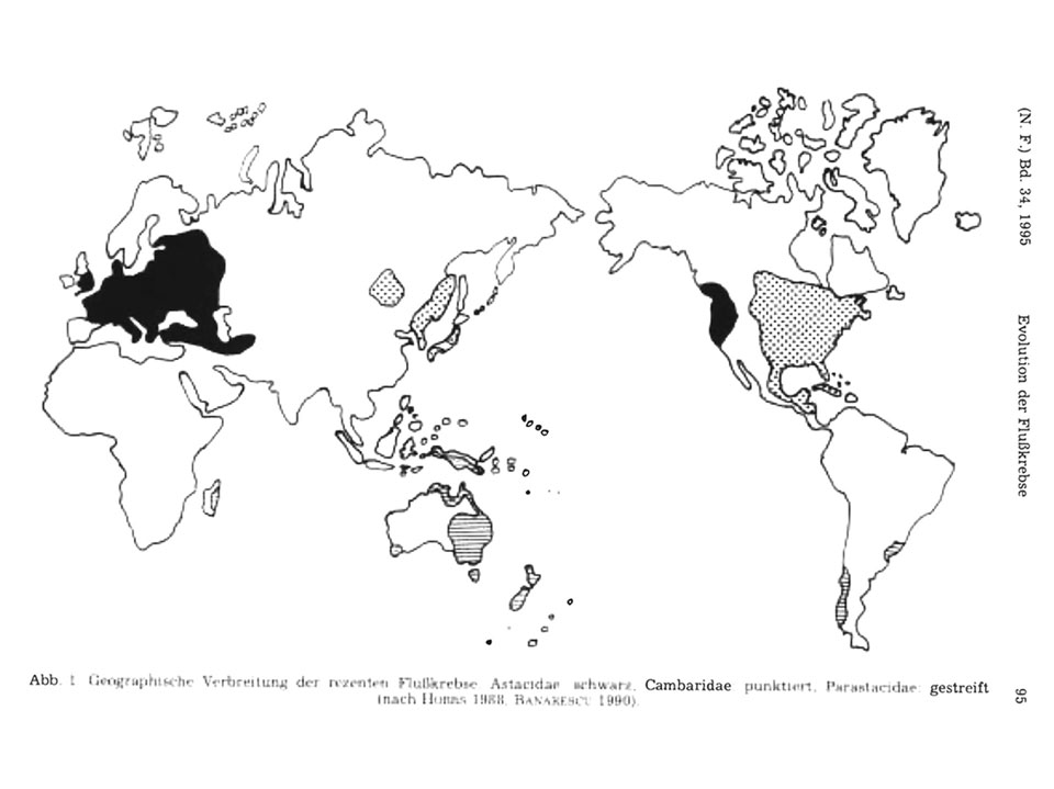 Map showing the distribution of Steinkrebs crayfish along the Neckar river, used in the Para Sites ecological research project